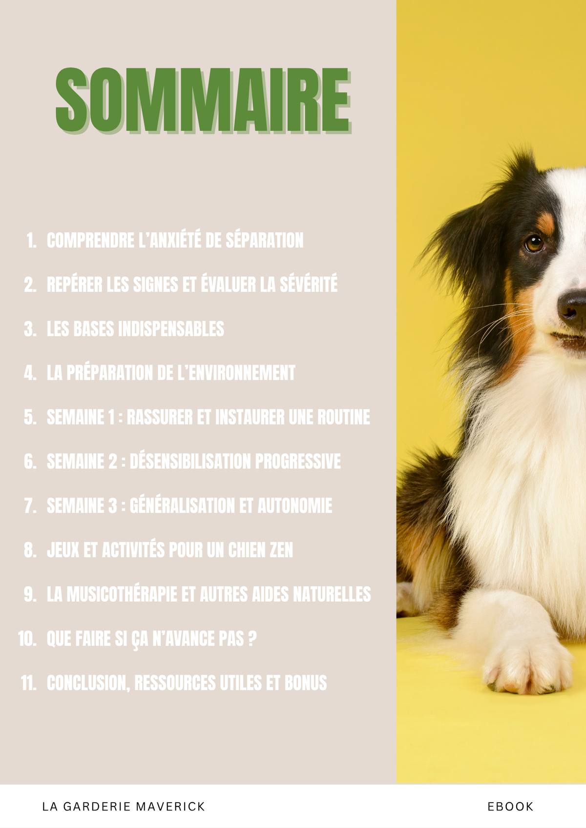 Séparation Zen – 21 jours pour un chien serein
