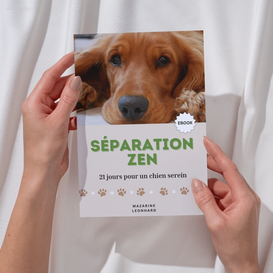 Séparation Zen – 21 jours pour un chien serein