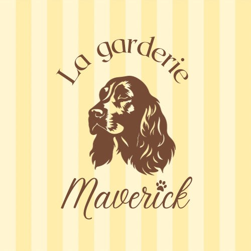 Les carnets de Maverick